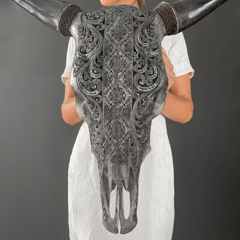 Real Carved Bull Skull 22/EX/446