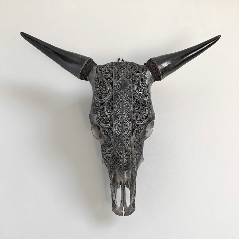 Real Carved Bull Skull 22/EX/446