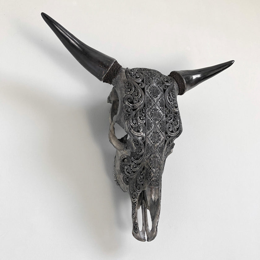 Real Carved Bull Skull 22/EX/446