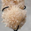 Beautiful Quartz Crystal cluster on a custom stand CC/524