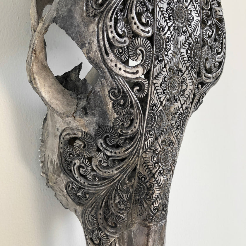 Real Carved Bull Skull 22/EX/446