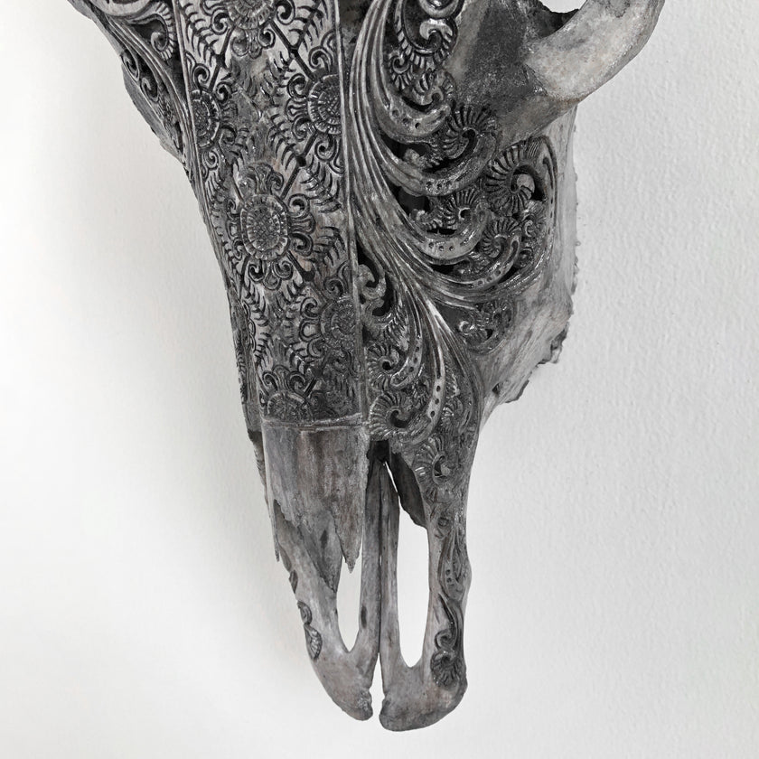 Real Carved Bull Skull 22/EX/446