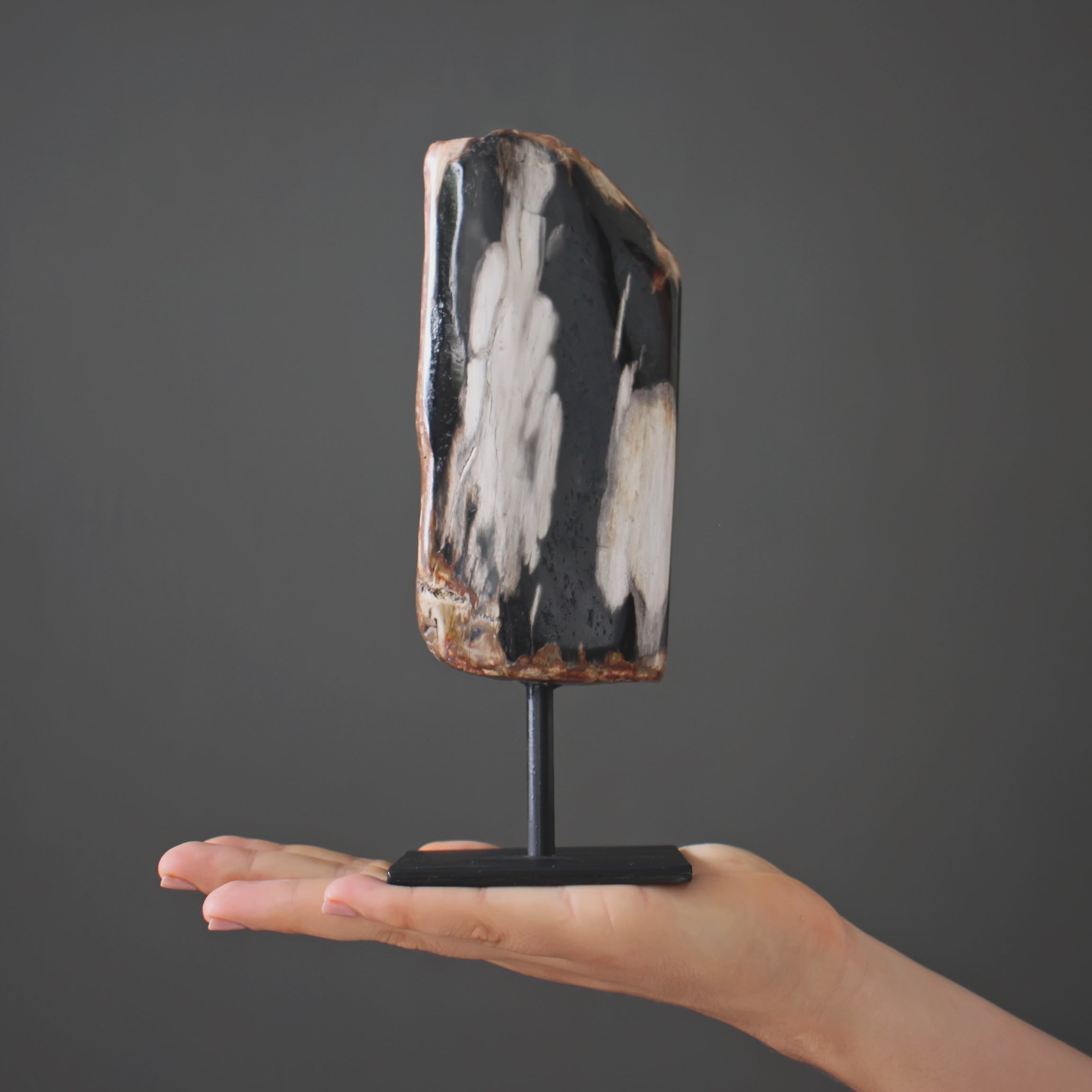 Polished Petrified Wood Freeform on a custom stand PetW/113