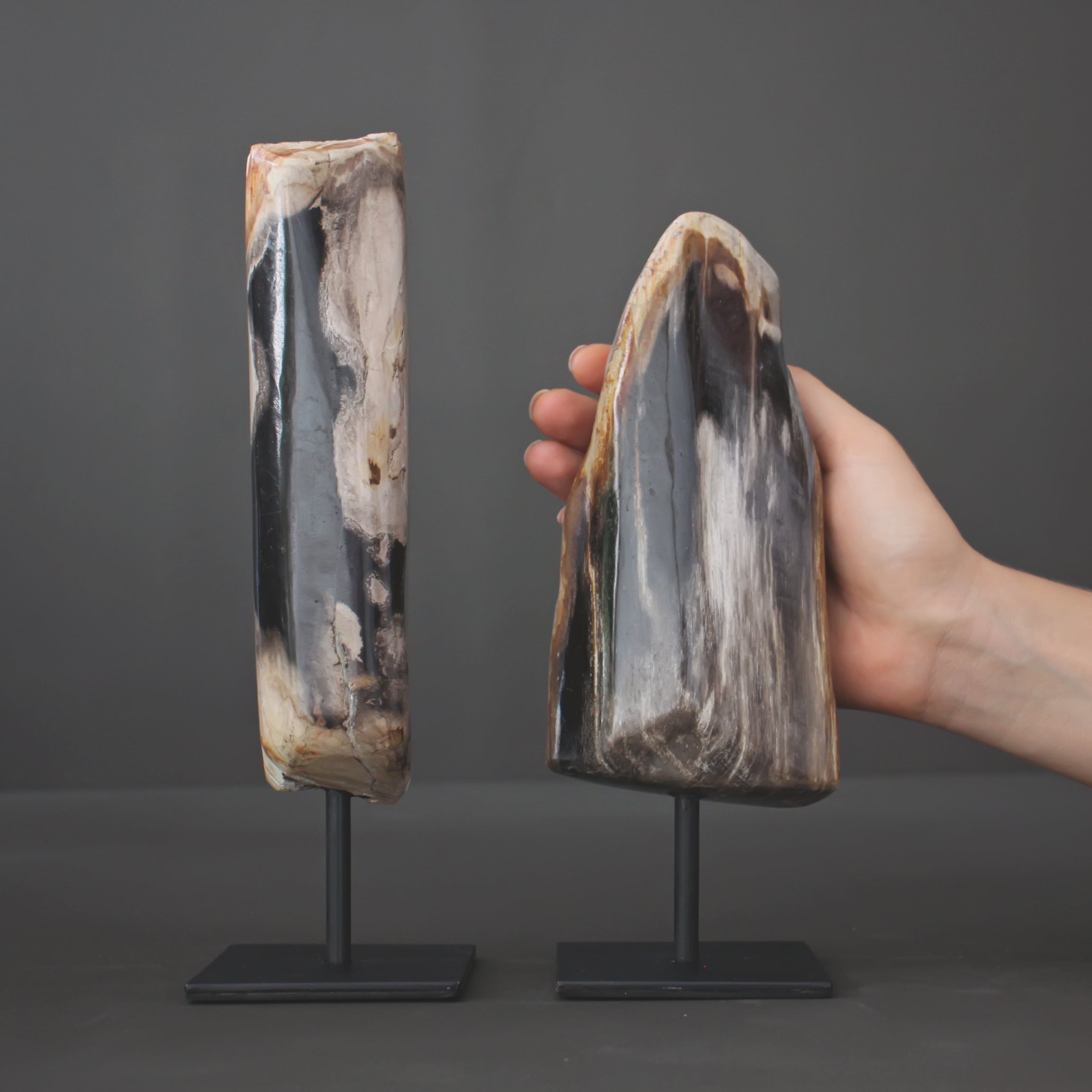 Polished Petrified Wood Freeform on a custom stand PetW/115