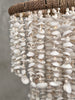 Chandelier Shell 8 - SL08