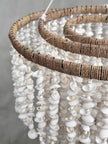 Chandelier Shell 8 - SL08