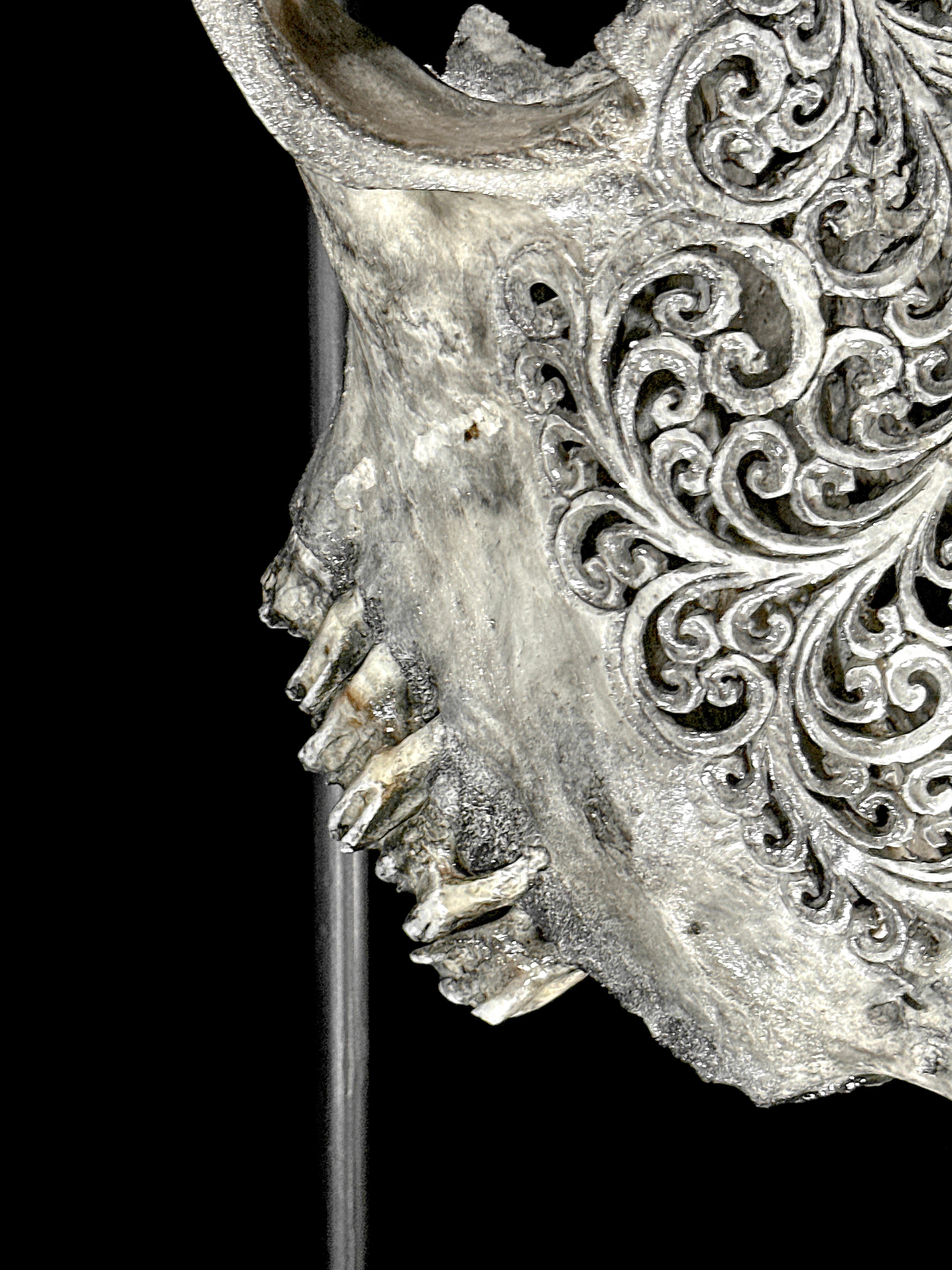 Bull Skull Carved Flower Mandala - Skull,A/154