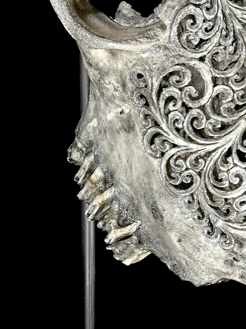 Bull Skull Carved Flower Mandala - Skull,A/154