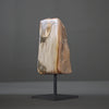 Polished Petrified Wood Freeform on a custom stand PetW/114