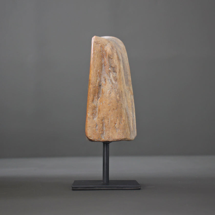 Polished Petrified Wood Freeform on a custom stand PetW/114