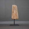 Polished Petrified Wood Freeform on a custom stand PetW/114