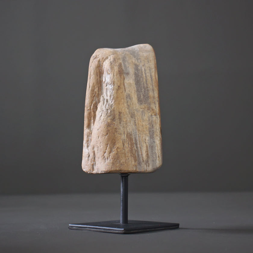 Polished Petrified Wood Freeform on a custom stand PetW/114