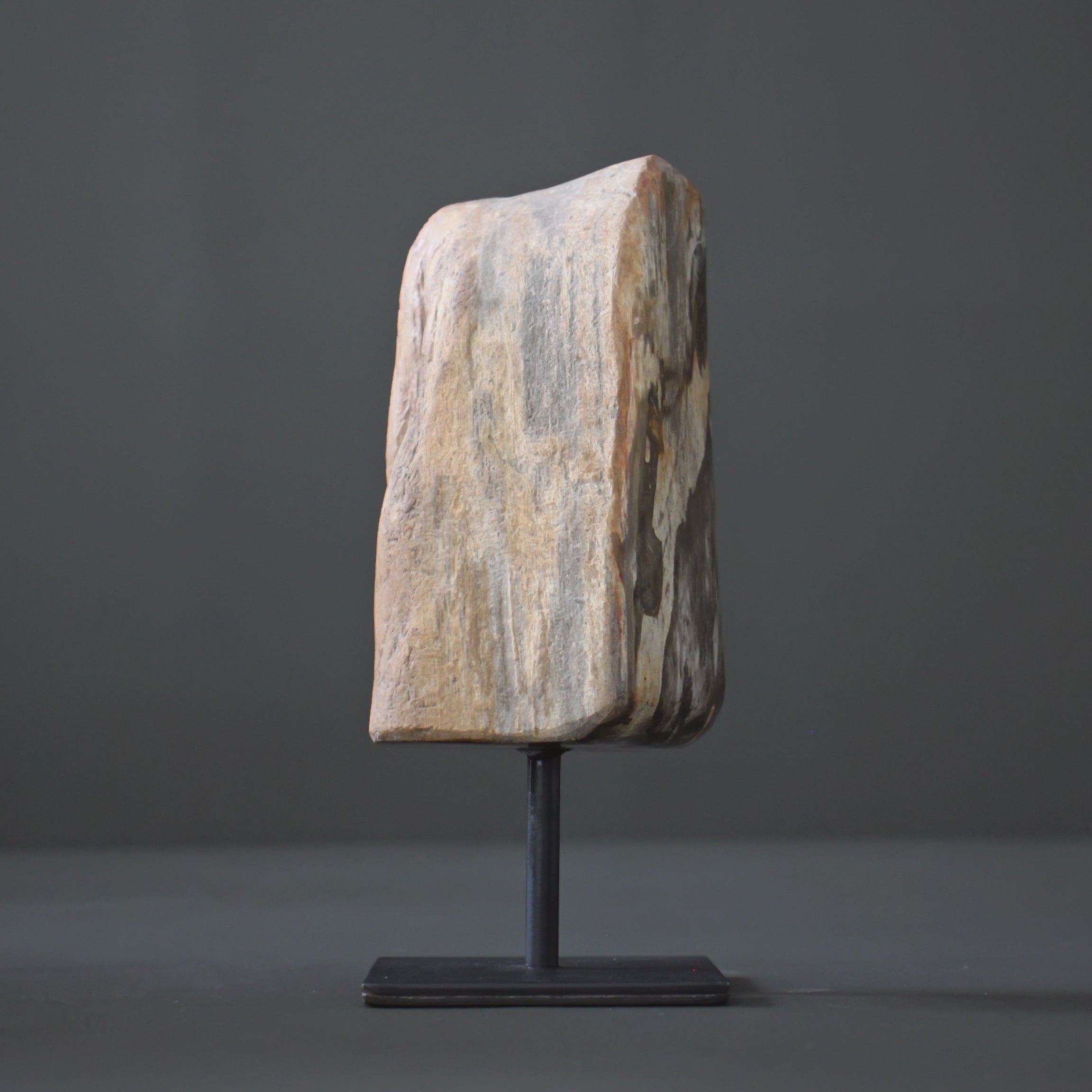 Polished Petrified Wood Freeform on a custom stand PetW/114