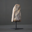 Polished Petrified Wood Freeform on a custom stand PetW/114