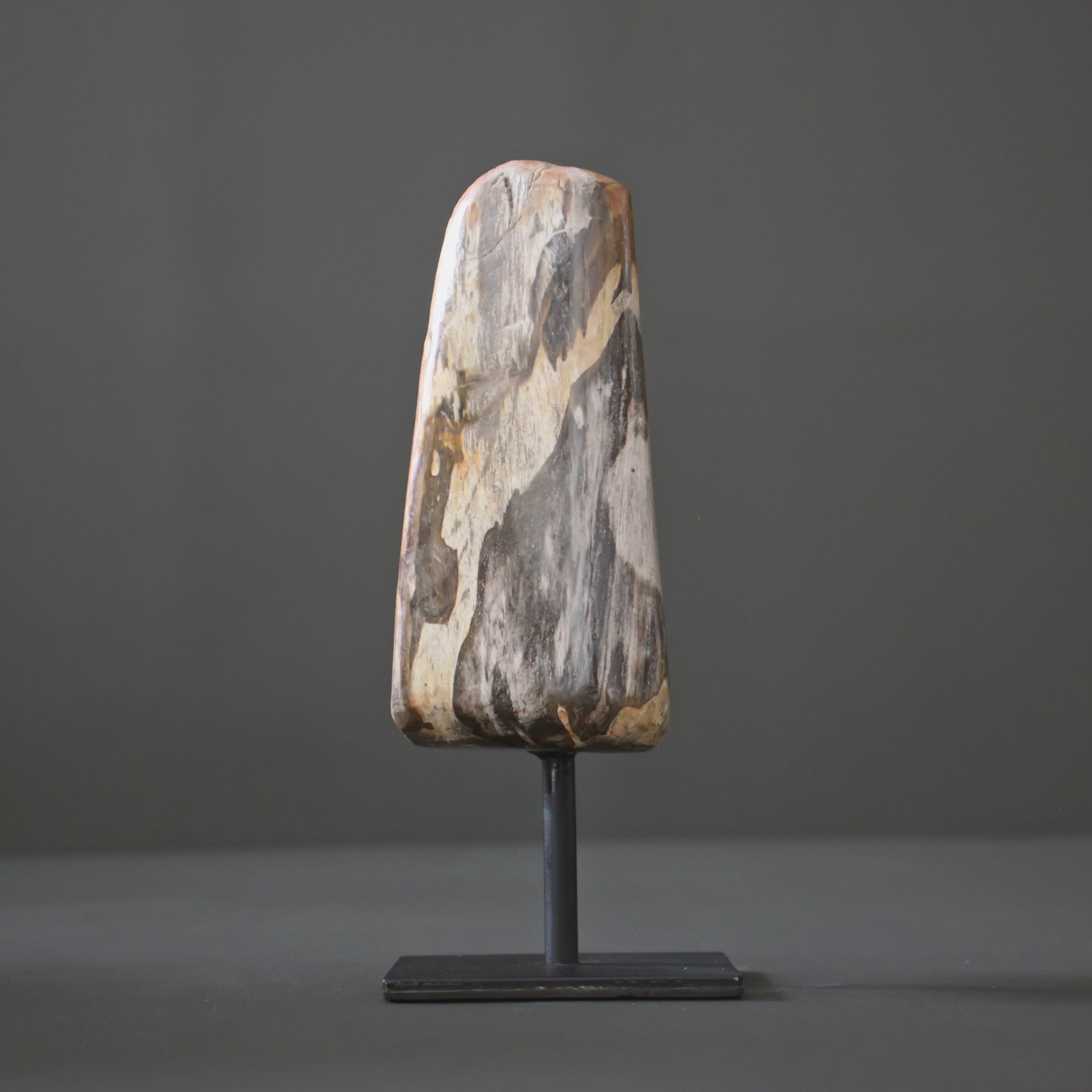 Polished Petrified Wood Freeform on a custom stand PetW/114