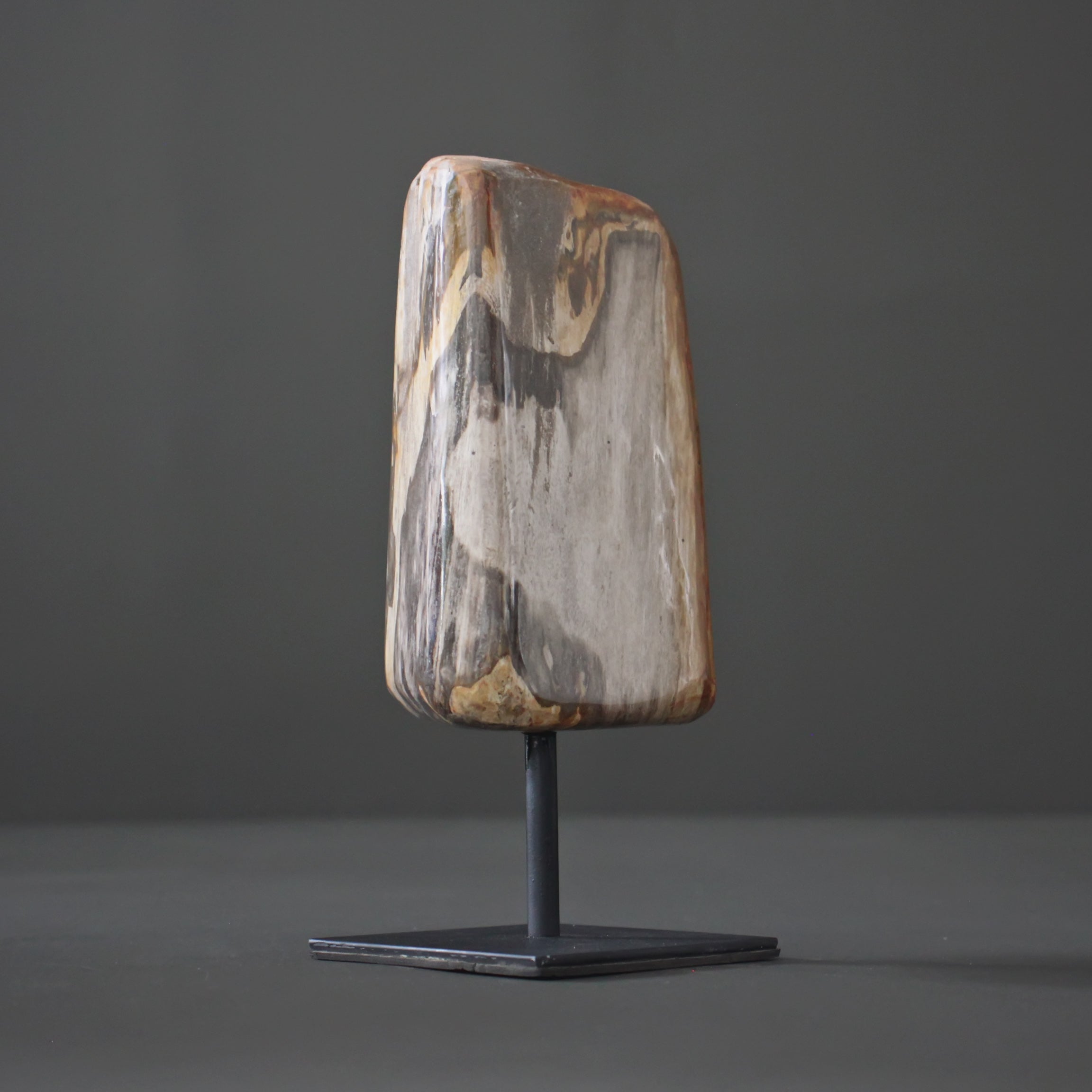 Polished Petrified Wood Freeform on a custom stand PetW/114