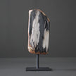 Polished Petrified Wood Freeform on a custom stand PetW/113