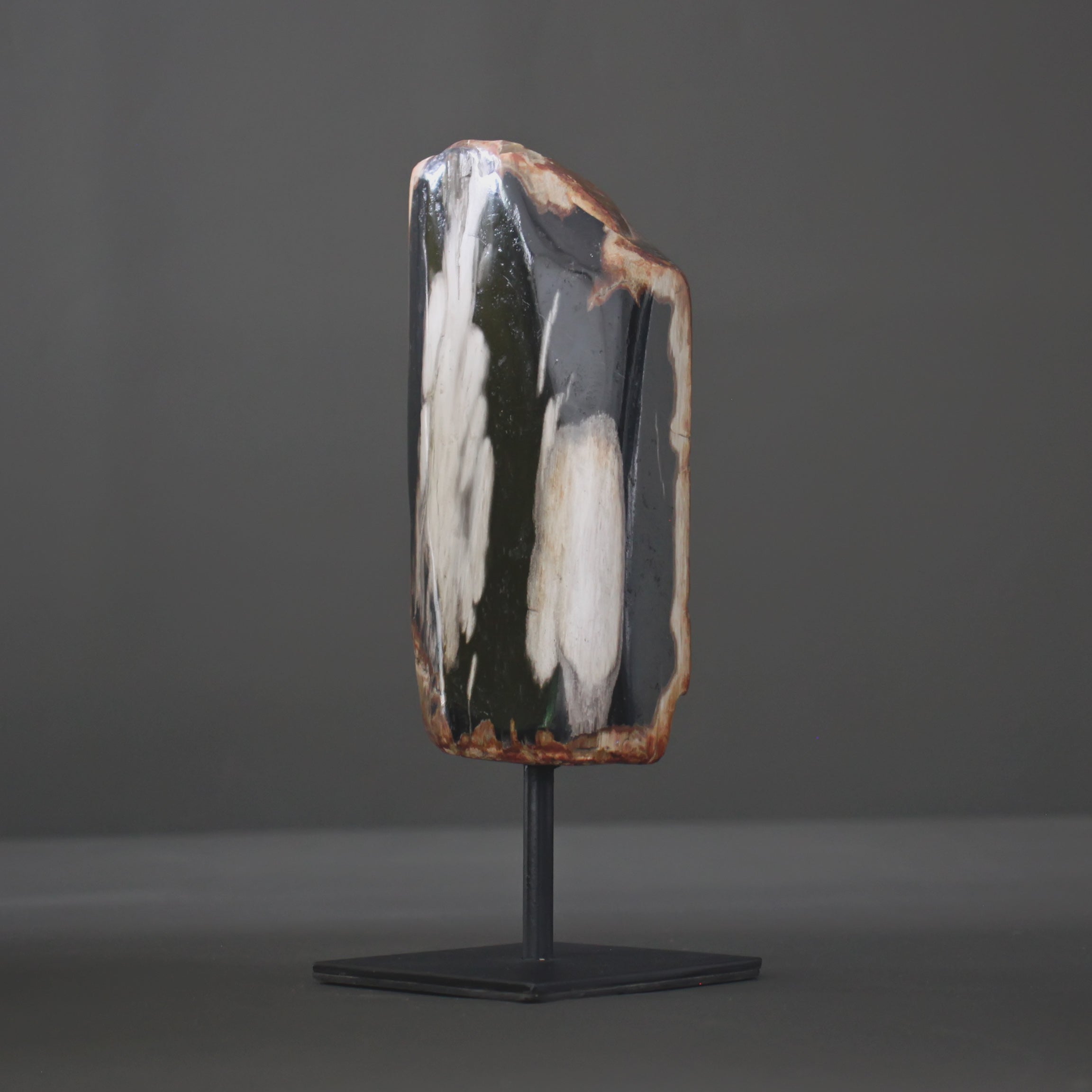 Polished Petrified Wood Freeform on a custom stand PetW/113