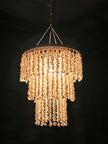 Chandelier Shell 8 - SL08