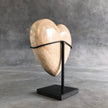 Wonderful Petrified Wood Heart-Shaped on a Custom Stand PetW/123