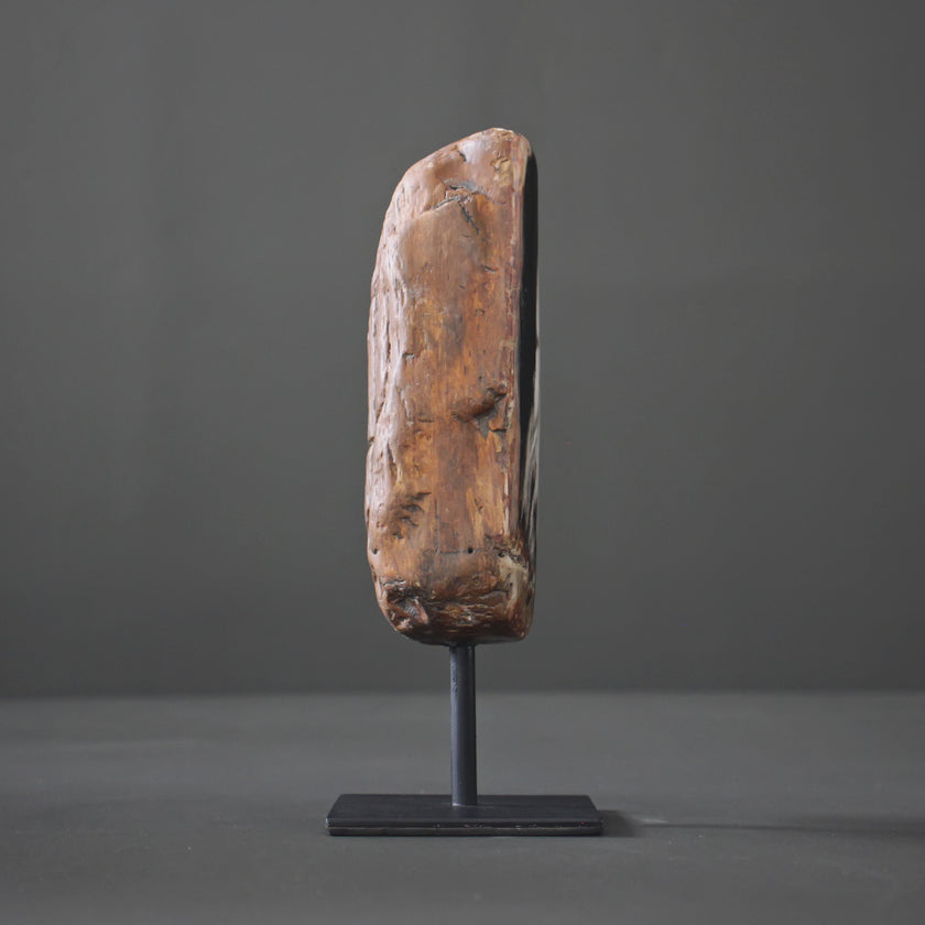 Polished Petrified Wood Freeform on a custom stand PetW/113