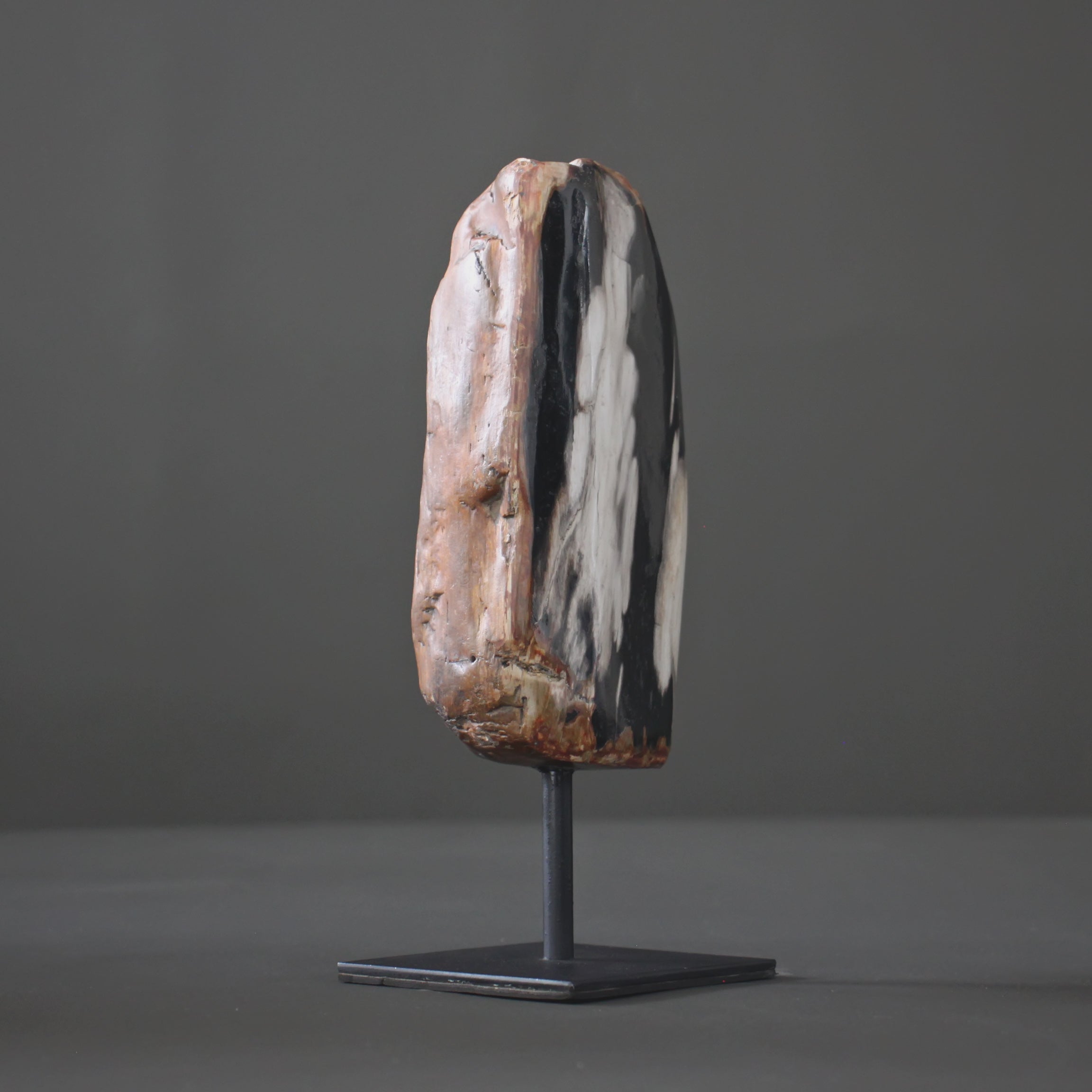 Polished Petrified Wood Freeform on a custom stand PetW/113