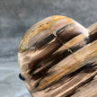 Wonderful Petrified Wood Heart-Shaped on a Custom Stand PetW/123