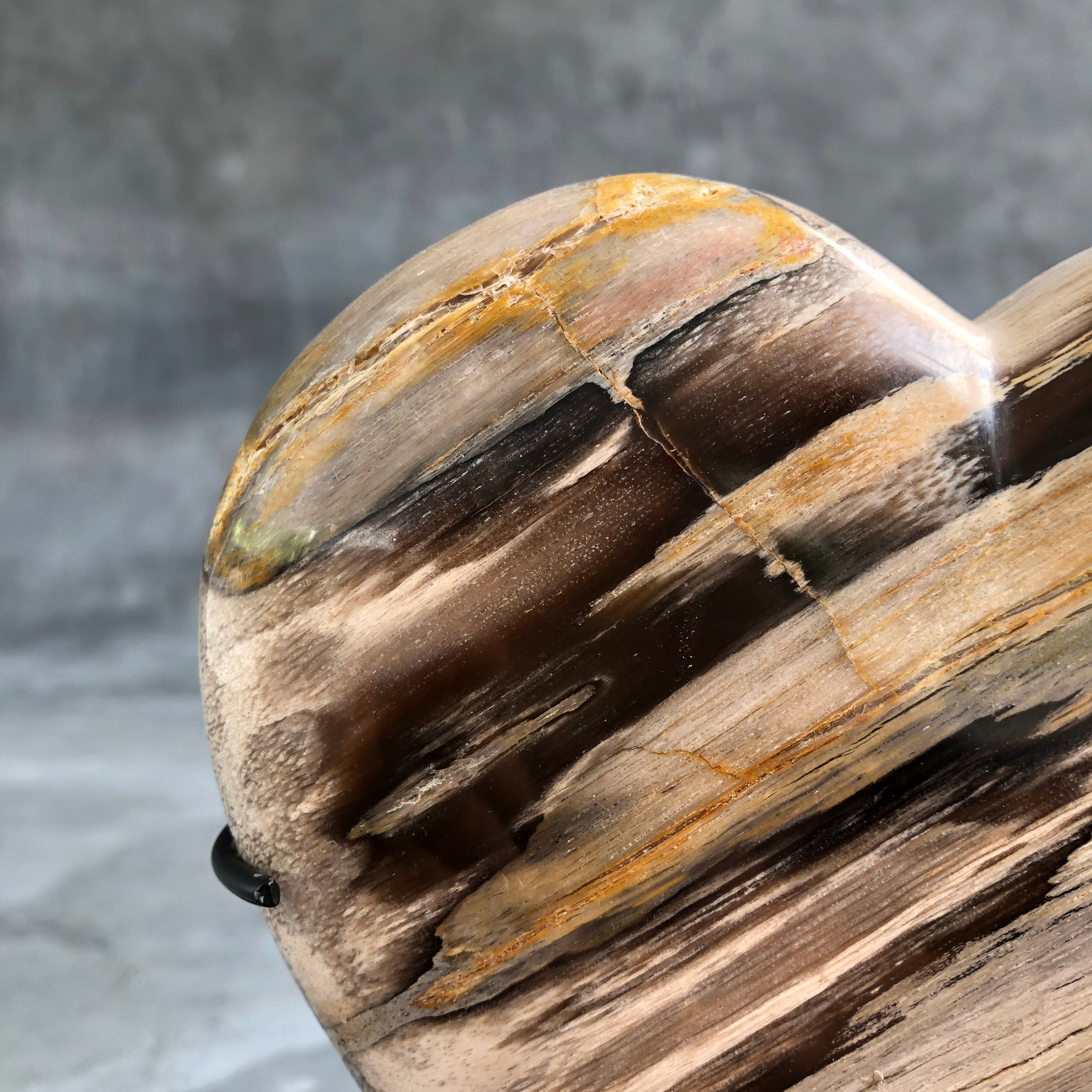 Wonderful Petrified Wood Heart-Shaped on a Custom Stand PetW/123