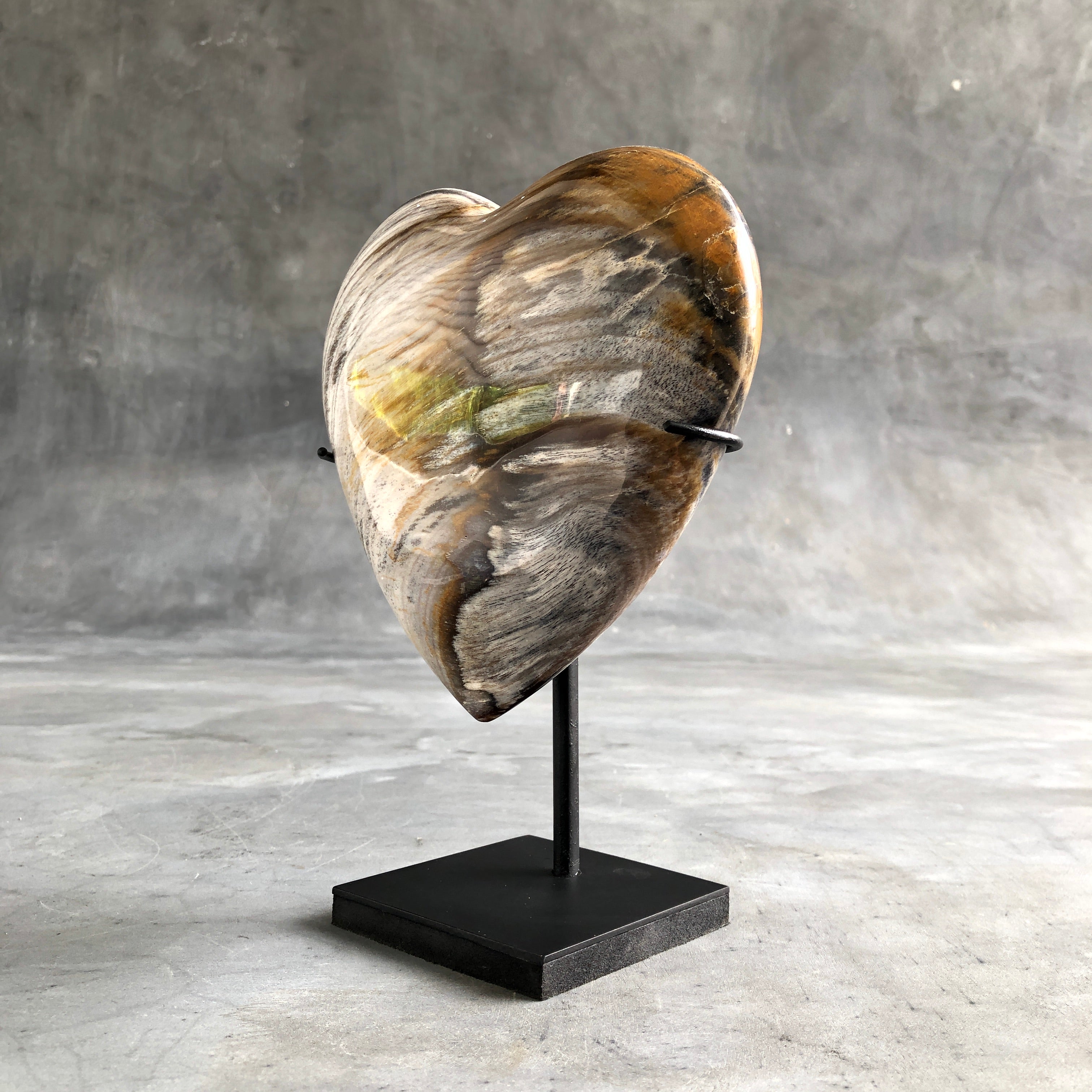 Wonderful Petrified Wood Heart-Shaped on a Custom Stand PetW/122