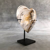 Wonderful Petrified Wood Heart-Shaped on a Custom Stand PetW/122