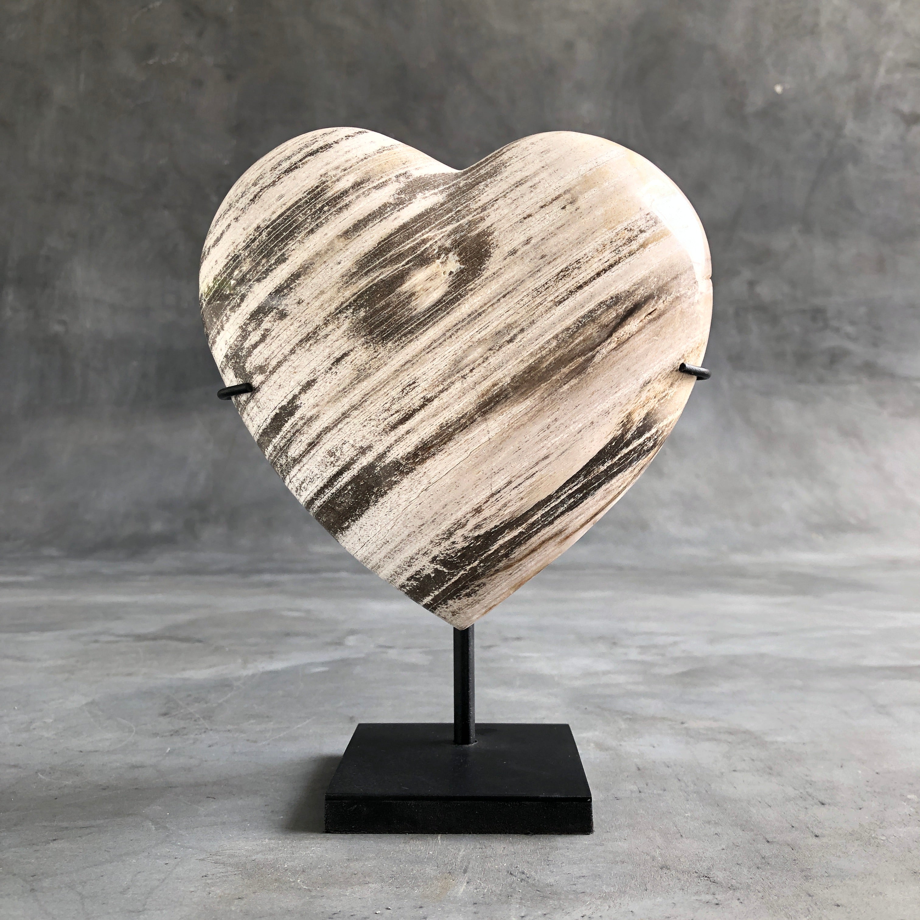 Wonderful Petrified Wood Heart-Shaped on a Custom Stand PetW/125