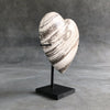 Wonderful Petrified Wood Heart-Shaped on a Custom Stand PetW/125