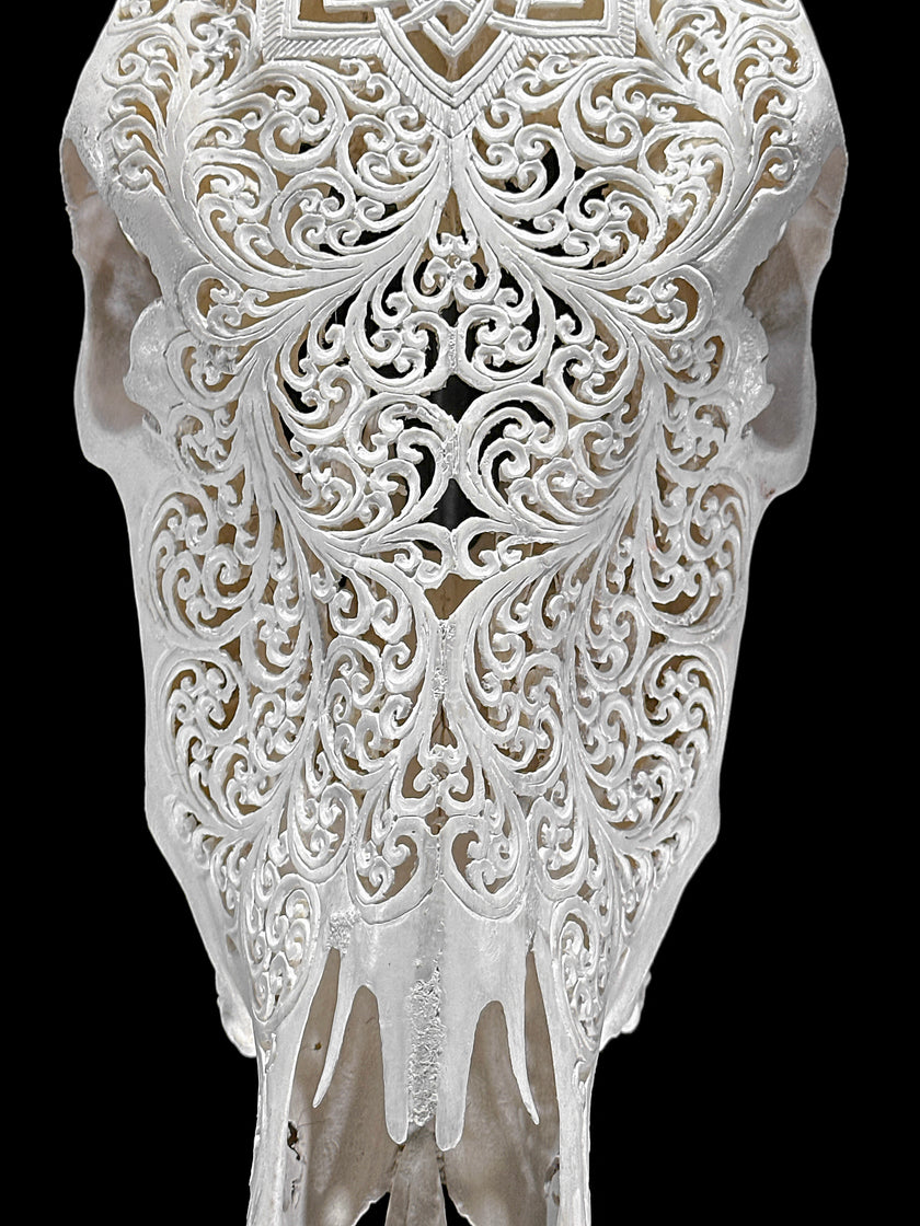 Bull Skull Carved Star Mandala - Skull,A/152