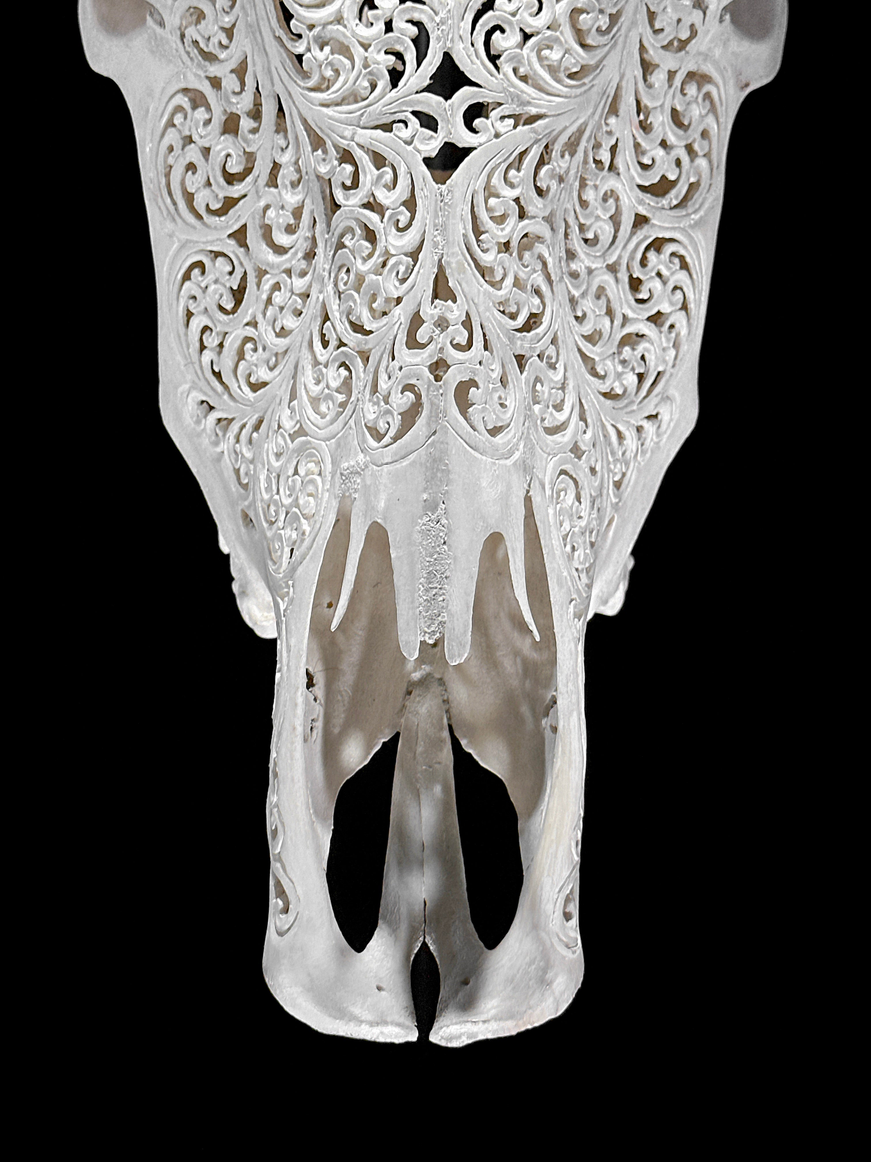 Bull Skull Carved Star Mandala - Skull,A/152