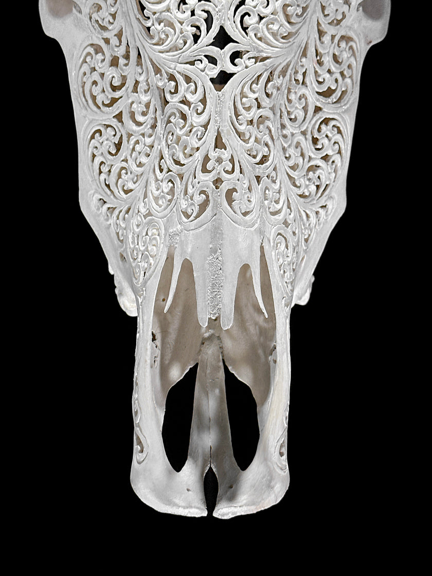 Bull Skull Carved Star Mandala - Skull,A/152