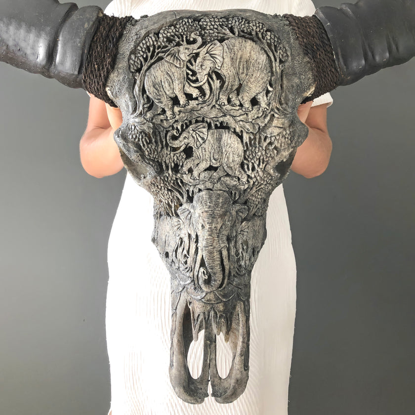 Real Carved Buffalo Skull 21/EX/743