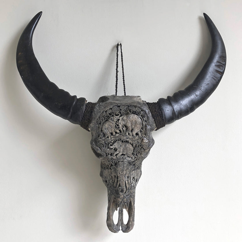 Real Carved Buffalo Skull 21/EX/743