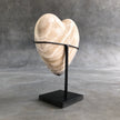 Wonderful Petrified Wood Heart-Shaped on a Custom Stand PetW/126