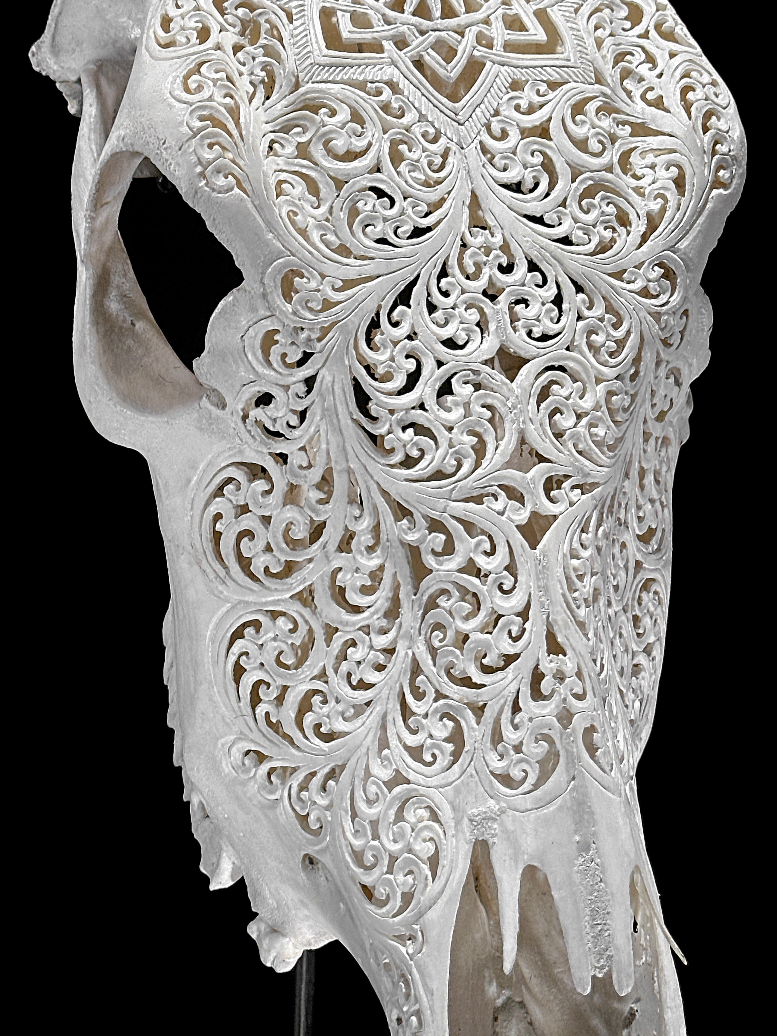 Bull Skull Carved Star Mandala - Skull,A/152