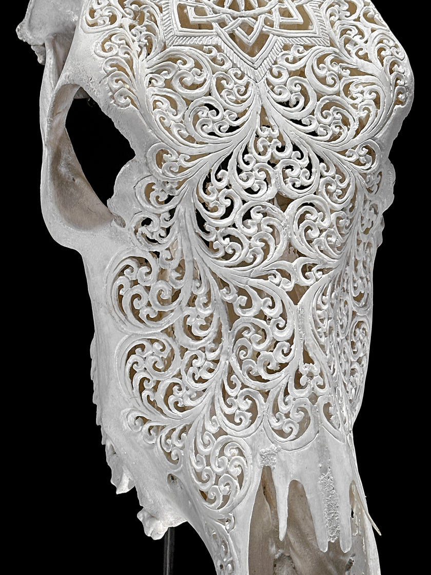 Bull Skull Carved Star Mandala - Skull,A/152