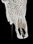 Bull Skull Carved Star Mandala - Skull,A/152