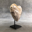 Wonderful Petrified Wood Heart-Shaped on a Custom Stand PetW/126