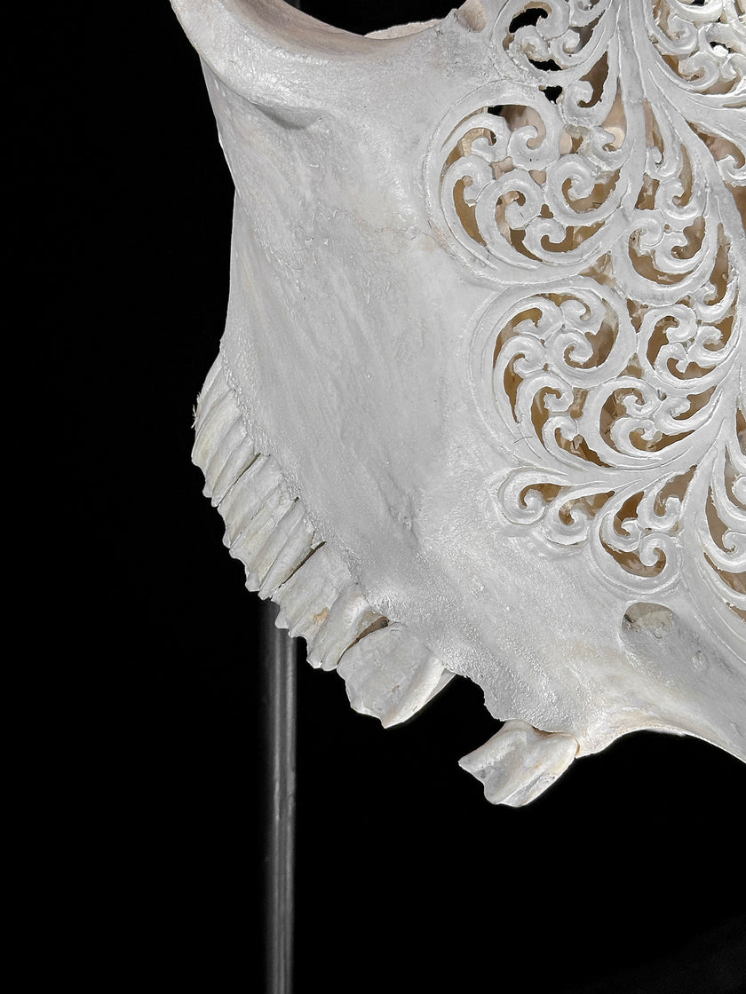 Bull Skull Carved Star Mandala - Skull,A/152