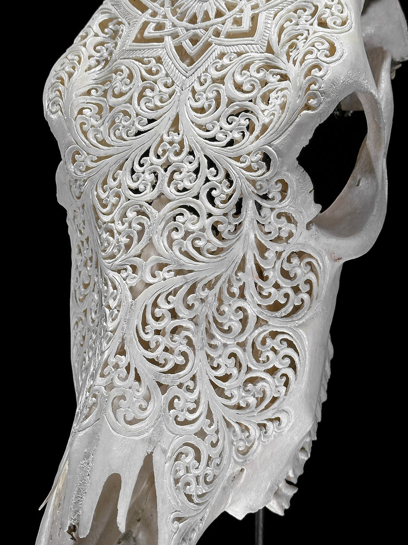 Bull Skull Carved Star Mandala - Skull,A/152