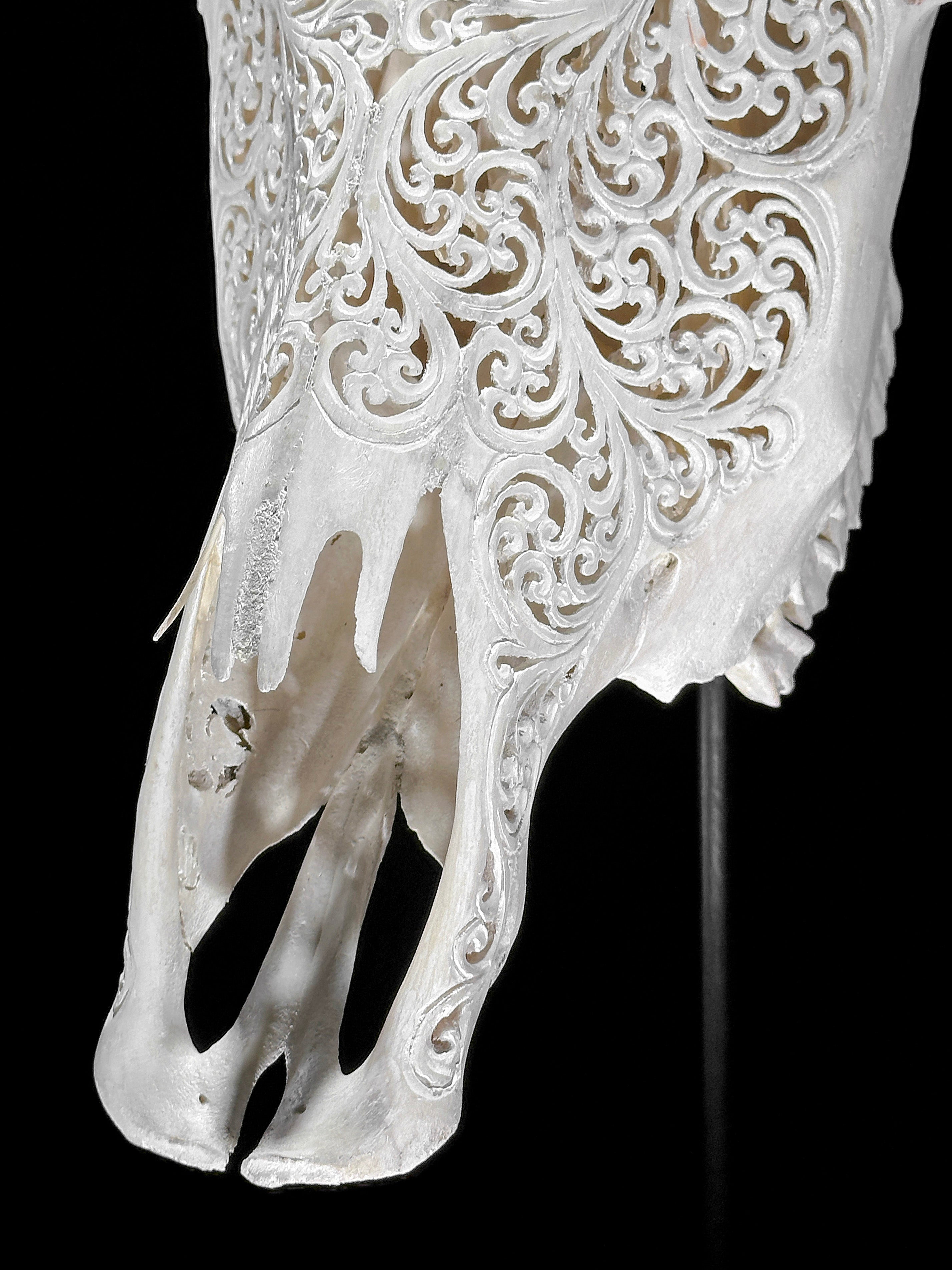 Bull Skull Carved Star Mandala - Skull,A/152