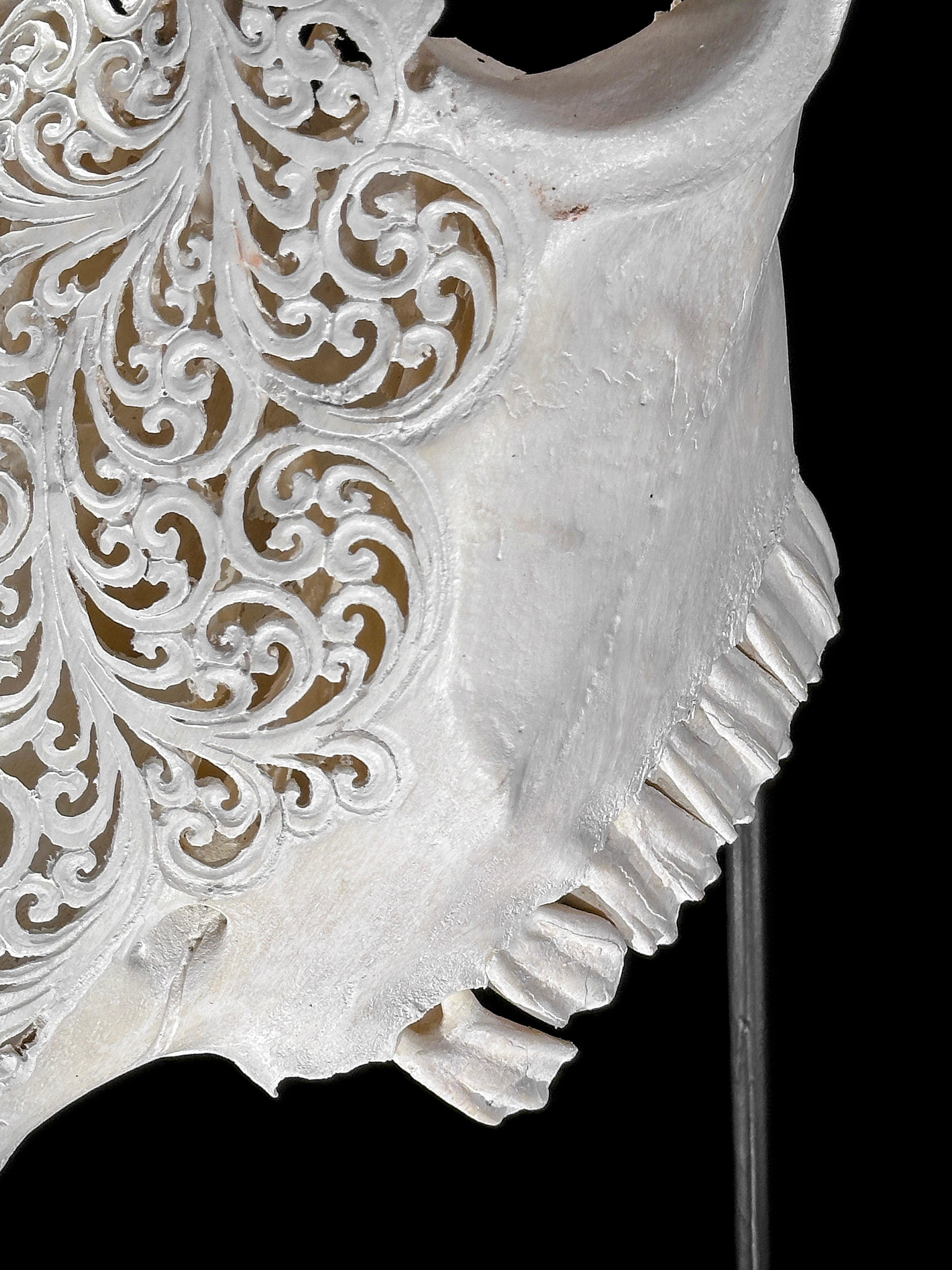 Bull Skull Carved Star Mandala - Skull,A/152