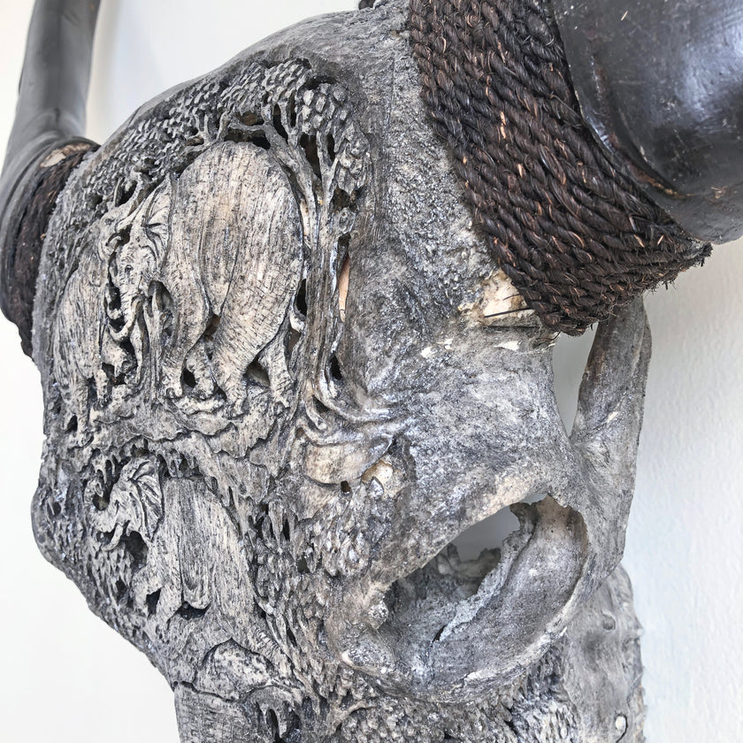 Real Carved Buffalo Skull 21/EX/743