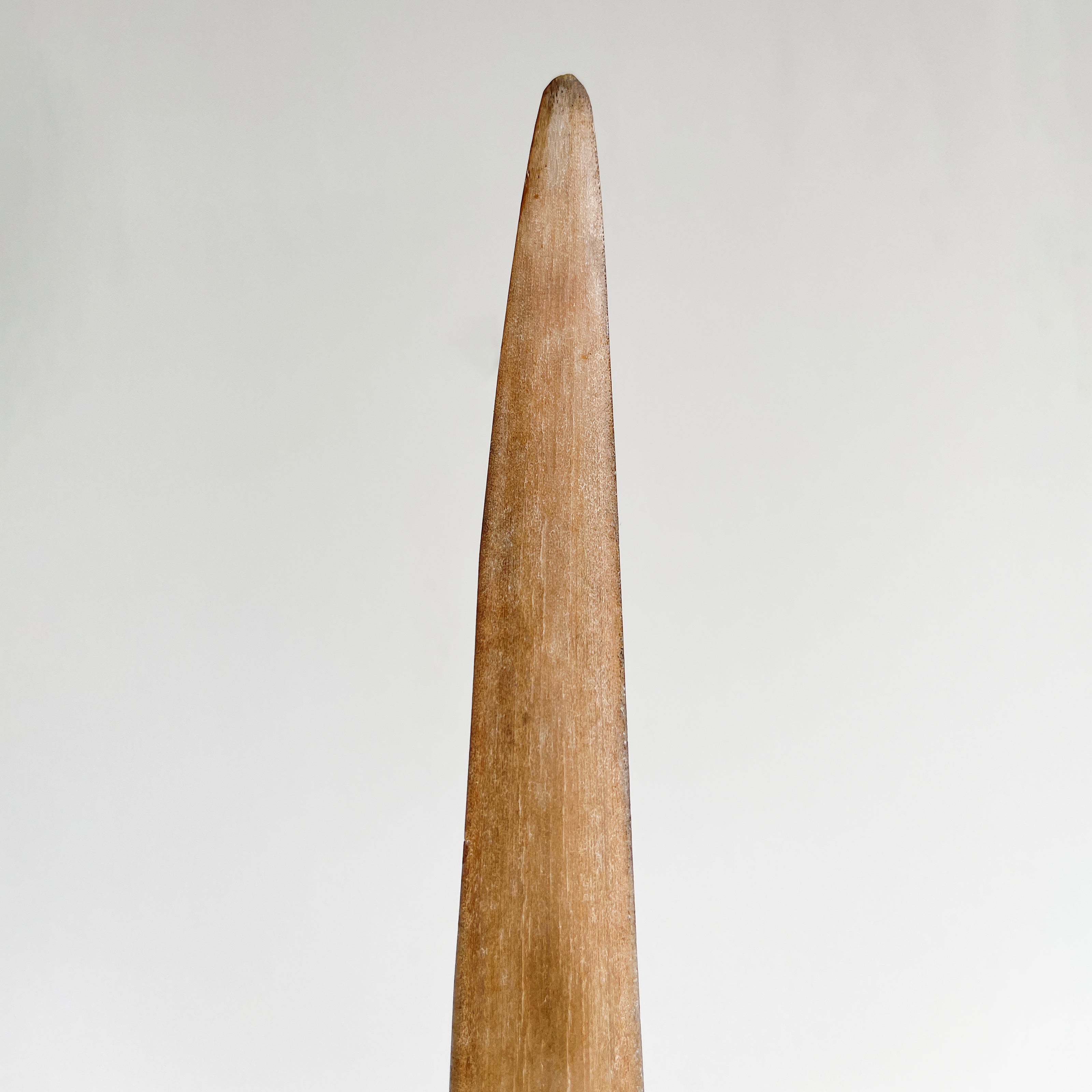 Maori carving Tusks ETSY/033