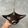 Manta Ray Brown with Polished Accents - Small