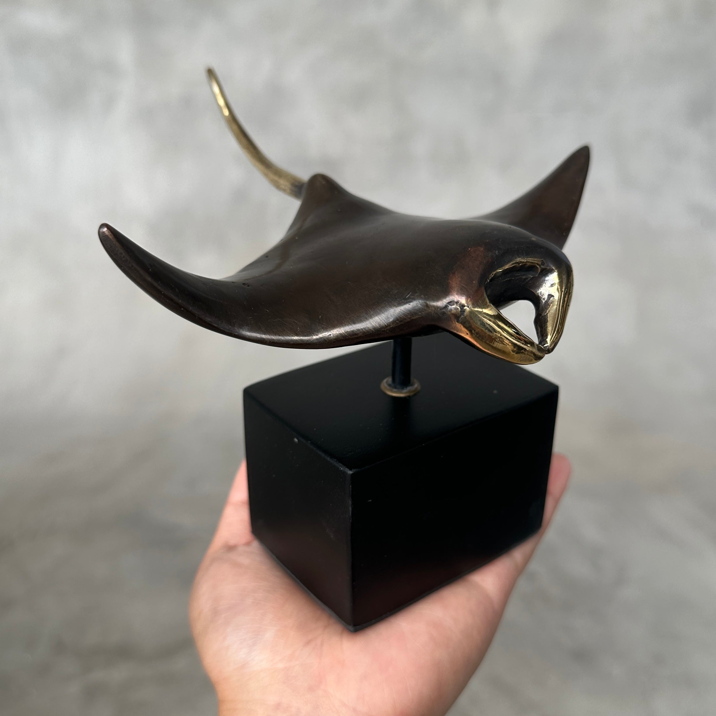 Manta Ray Brown with Polished Accents - Small